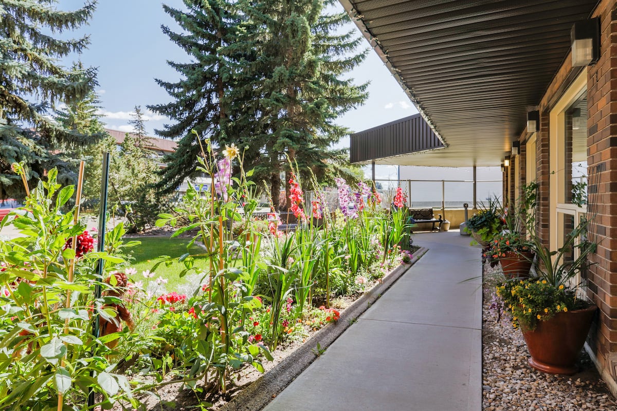Front Garden