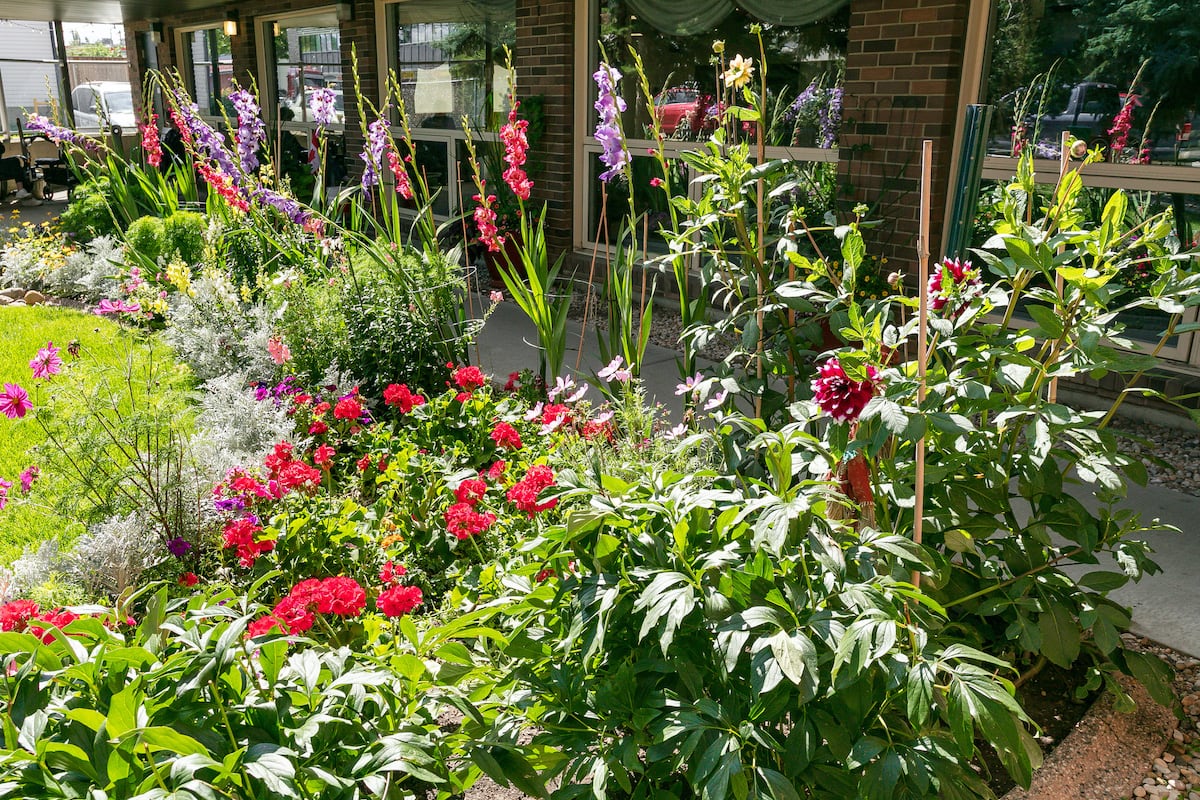 Front Garden